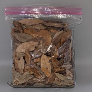 Live Oak Leaf Litter Quart Bag