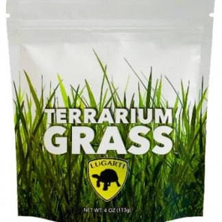 Lugarti Terrarium Grass